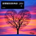 多想留在你身边 (remix: 高桥|DJ|圈妹)