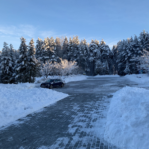 Вьюн над водою