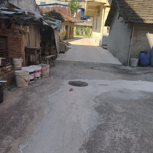 班卓与吉他的荒野冒险狂想