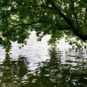 离开这里我不再回来