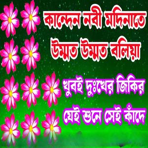 কান্দেন নবী মদিনাতে উম্মত উম্মত বলিয়া।শুনুন কলিজা শীতল হবে।