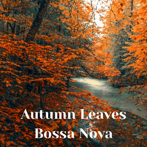 Gentle November Memories