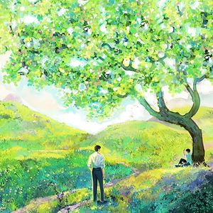 荒野植被