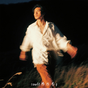 soul (热烈感)