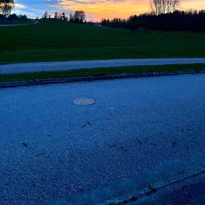 Fångad av vinden