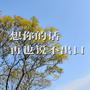 想你的话再也说不出口