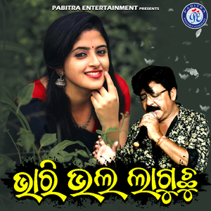 Bhari Bhala Laguchhu