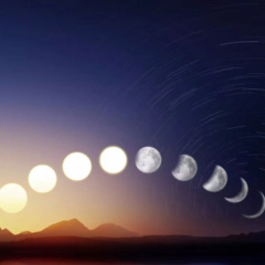 我不会再爱上谁