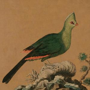 I Know This Place -, Pt. 2 (feat. Derek Gripper & Pino Forastiere)