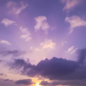 紫雲の行方