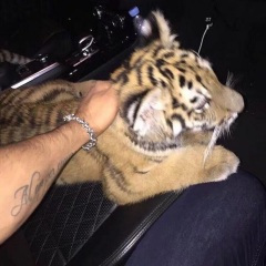 夜场轰炸