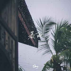 暴雨