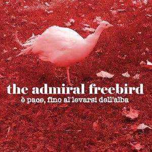 È PACE, FINO AL LEVARSI DELL'ALBA