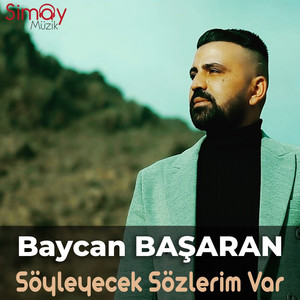 Söyleyecek Sözlerim Var
