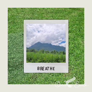 ลมหายใจแห่งพงพนา