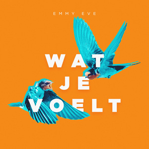 Wat Je Voelt