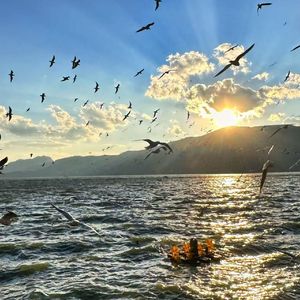 Sonic Waves（0.85X）