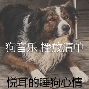 抚慰的睡狗回忆