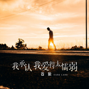 我承认我爱得太懦弱 (伴奏)