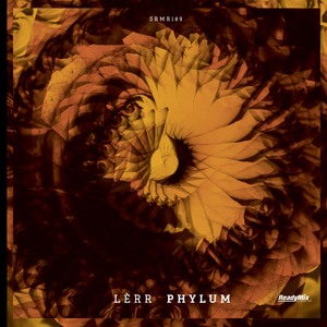 Phylum (Original Mix)