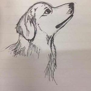 安河桥（翻自薛之谦版）