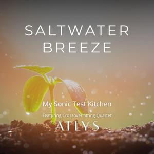 Saltwater Breeze (feat. ATLYS)