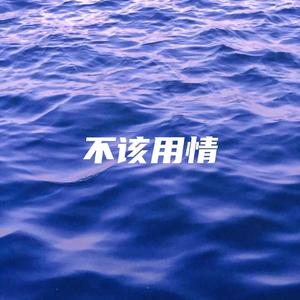 不该用情（抖音热门版）