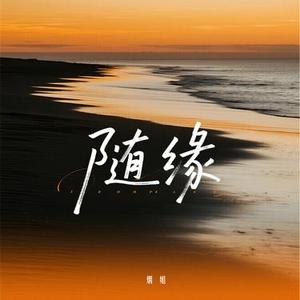 随缘 烟嗓女声版