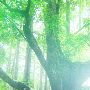 一千年（remix）