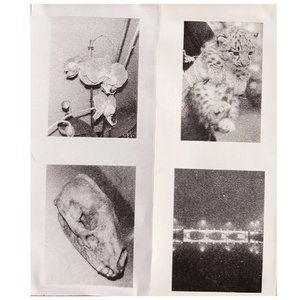 You Can't Solve It Alone