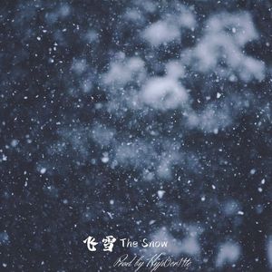 飞雪