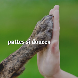 Petites pattes