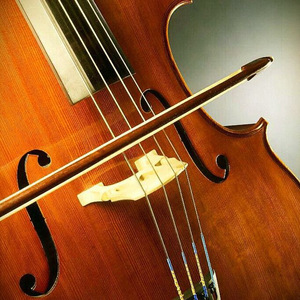 俏皮的弦外韵律