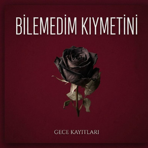 Bilemedim kıymetini