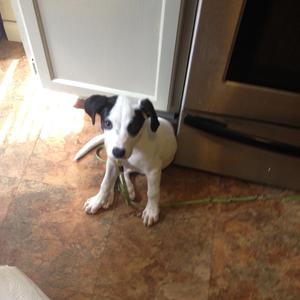 where'd you go? (feat. ken)