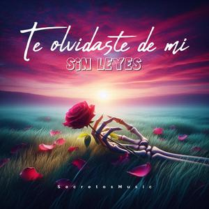 Te olvidaste de mi