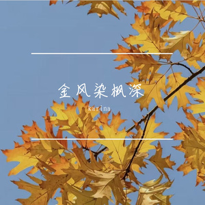 金风染枫深