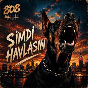 Havlasın