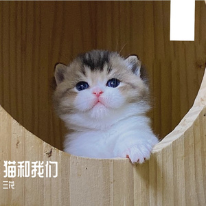 慢慢