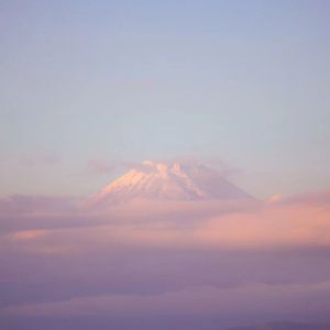 相思垢（cover 金莎）