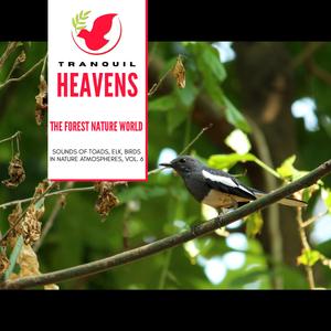 Phantasmal Water Flowing