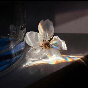 敬往事杯中沉浮（我敬苍天酒一壶）阿美呀