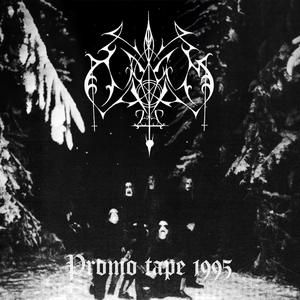 Through the Sorrowfilled Forest (Demo)