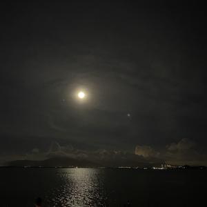 我的生活与你无关（prod by 毒猫DoMore）