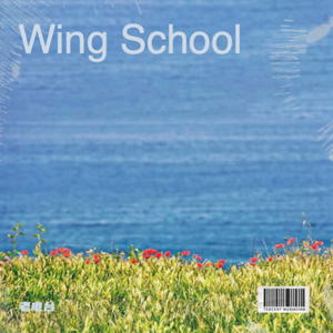 Wing School 2