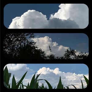 张政-香烟爱上火柴(DJ版2024)