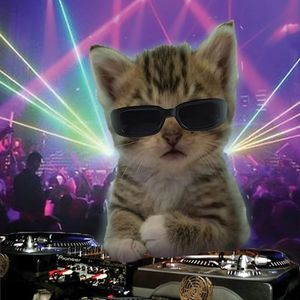 [Free]"纸醉金迷" Disco X Funk Type Beat