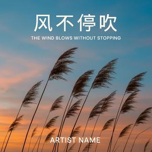 风不停吹(摇滚版)