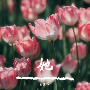 她（Prod by HZ.MY）