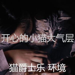 一尘不染小猫印象数